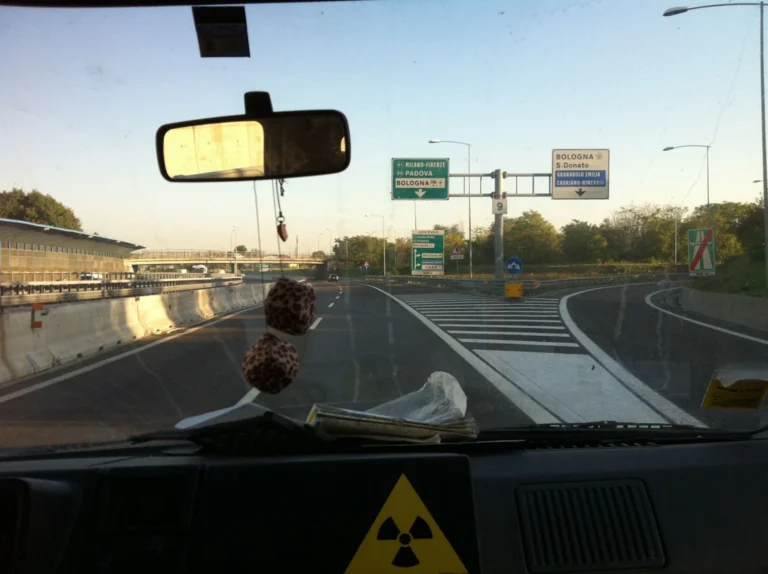 Rattus – Bologna, Italy 21.9.2012, photo 13