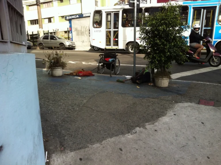 Rattus – Brazil 2013, photo 13
