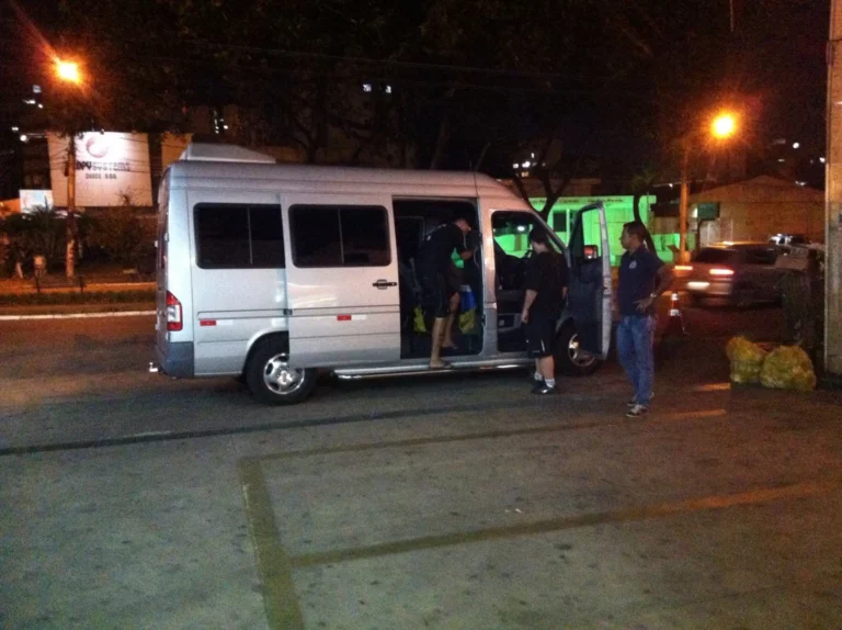 Rattus – Brazil 2013, photo 21