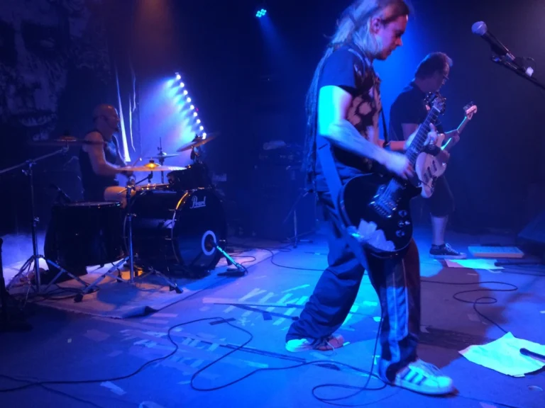 Rattus – Italy 2016, photo 10