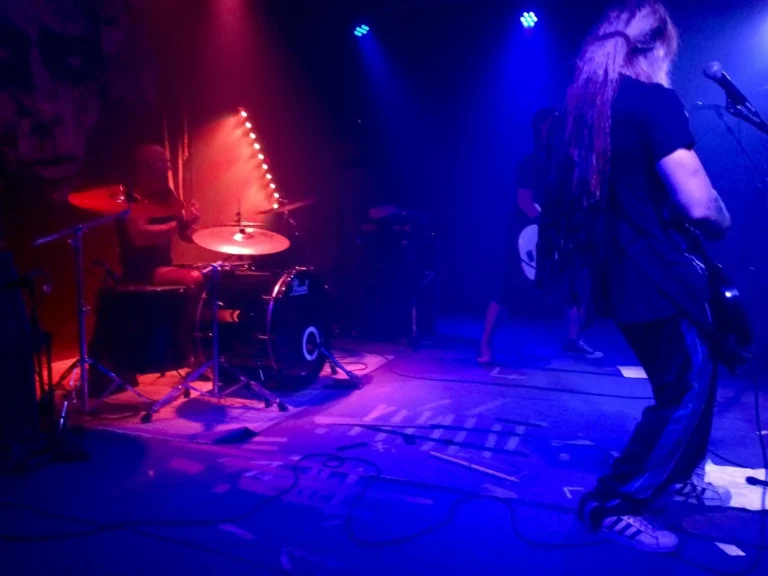 Rattus – Italy 2016, photo 16