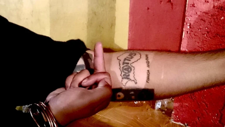 Rattus – Mexico 2015, photo 22