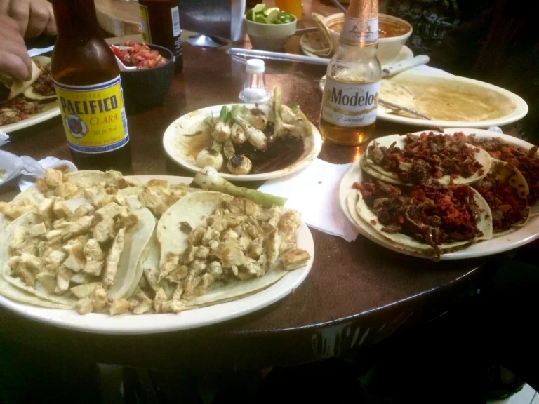 Rattus – Mexico 2015, photo 23
