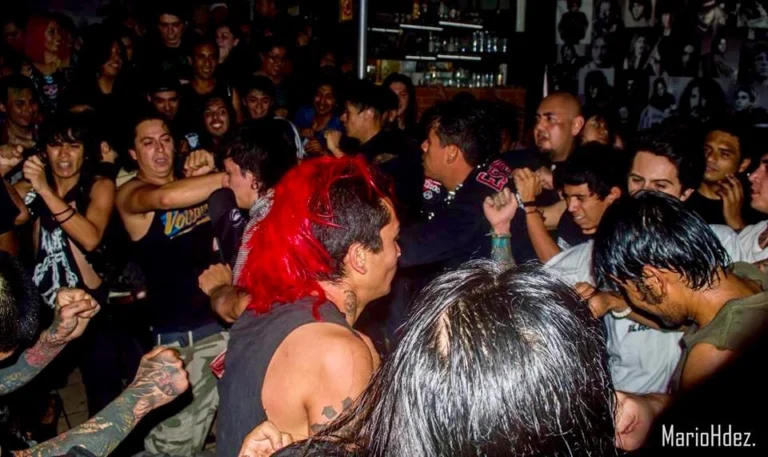 Rattus – Mexico 2015, photo 3