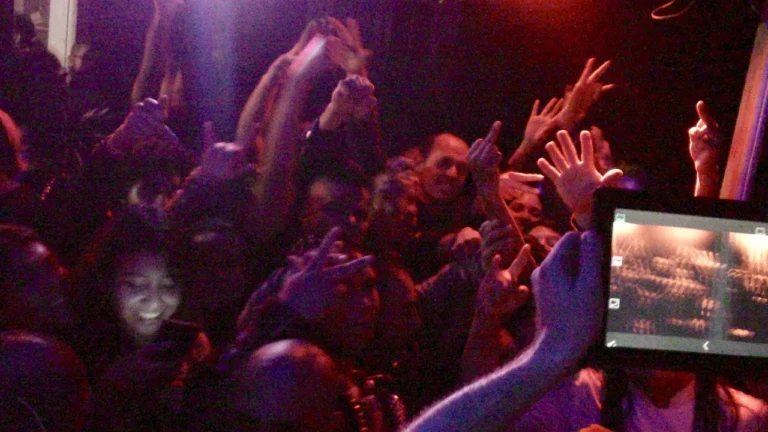 Rattus – Mexico 2015, photo 6