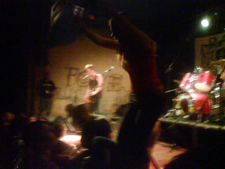 Rattus – Pula, Croatia, 2009, photo 15